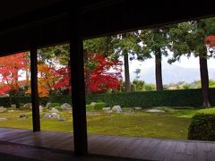 京都　借景庭園の紅葉～圓通寺～2010