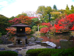 紅葉とバラの季節の旧古河庭園