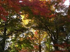 洛中洛外サイクリング！（１０年紅葉巡り）～御所・鷺森神社、他