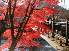 晩秋の紅葉めぐり　鬼怒川～川治～塩原