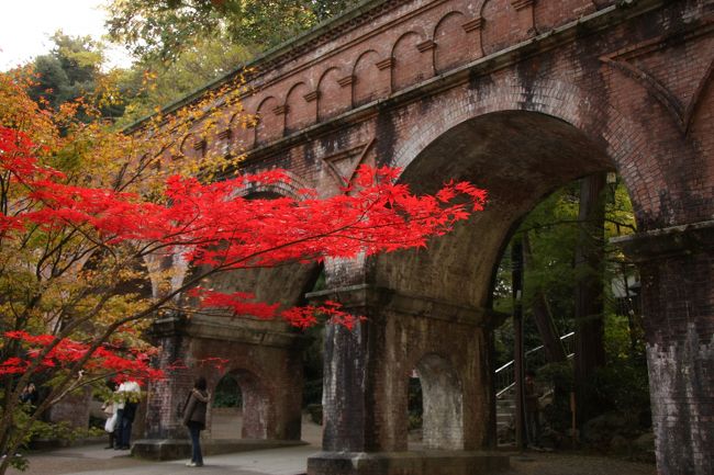 仕事帰りに紅葉まっさかりの京都を散策。<br /><br />さすがに11月のとび連休のこの日はかなりの人の賑わい。<br /><br />南禅寺は紅葉の名所で有名だが、京都は名所をはずしてもどこでも紅葉まっさかり。<br /><br />ということで、ブラブラ歩き、同じ東山近郊の青蓮院に出向いてみた。<br /><br />映画「大奥」のロケにも使われた庭園とちらほら見える紅葉を堪能した。<br /><br />こちらの記事もあわせてどうぞ！<br /><br />「南禅寺」境内の穴場紅葉スポット！広い境内の効率的な回り方とは？ＪＲ東海ＣＭの天授庵の紅葉情報も！<br />↓↓↓<br />http://guide.travel.co.jp/article/2240/<br /><br />京都・穴場紅葉スポット！大奥ロケ地の青蓮院門跡でお抹茶と紅葉と日本庭園を堪能！<br />↓↓↓<br />http://guide.travel.co.jp/article/2253/