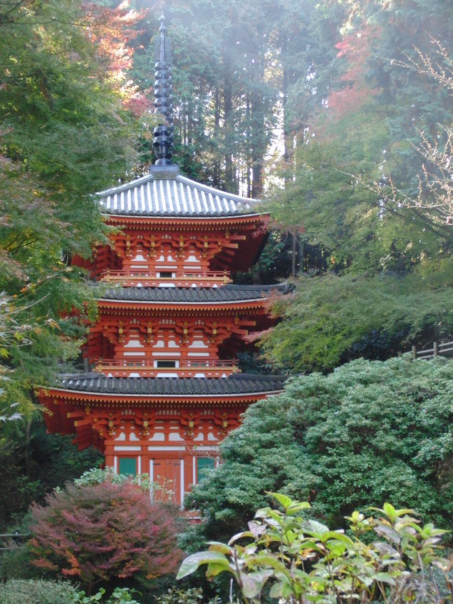 アイラブ仏像めぐりで、奈良へ。（岩船寺は京都府ですが・・・）<br />平城遷都１３００年祭で祈りの回廊と題して、奈良県内各地（一部京都）で秘宝秘仏の特別開帳が行われている。<br />公私共に多忙でご開帳の秋なのに奈良を訪れることができず、今年はダメかとあきらめかけていたが、なんとか間に合った。<br /><br />この日の行程、<br />夜支布山口神社、南明寺、岩船寺、圓成寺、長岳寺