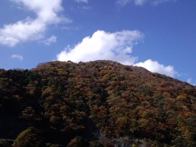丹沢湖を一周してきました。湖はバスクリンのようなグリーン、空にはくもはあったけど、青空。富士山も上の方が雪化粧していましたよ。気温は１６度。
