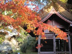 南房総千倉の小松寺にて紅葉を味わう