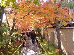 京都府　洛中の見どころ、秋の光悦寺と源光庵を訪ねて