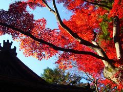 京都でお遍路　　～ 御室八十八ヶ所霊場 ～