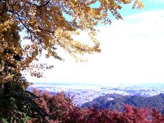 紅葉まっさかりの高尾山2010