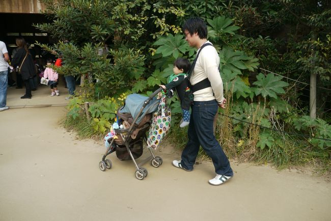 パパとベビー（10ヶ月）と一緒に天王寺動物園に行ってきました。<br />ランチは、新世界のづぼら屋でふぐランチ！<br />お座敷もあり、トイレにはオムツ替えシートもあるので、赤ちゃん連れも大丈夫なお店です。<br />お茶は、天王寺の「＆（アンド）」内のMujiカフェに行ってきました。<br />＆は、授乳室もあるので子連れでも安心して行けますよ。