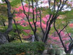 志賀、広島、京都、奈良、昼間高速バスとJR鈍行の「紅葉の旅」