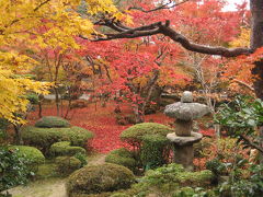 ２０１０京都　雨ニモ負ケズ紅葉見物♪　（曼殊院・圓光寺・詩仙堂）