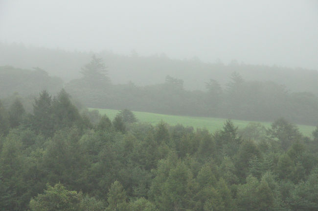 雨の高原