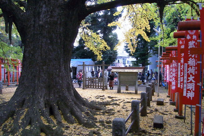 深まる秋、東京都内の紅葉もそろそろ見頃となってきたようです。<br />この日の天気予報は、曇り午後から小雨とのことで、都心で秋色を楽しむことにしました。<br />散歩のコースは、（地下鉄護国寺駅）→椿山荘→鳩山会館→護国寺→鬼子母神→（ＪＲ池袋駅）です。