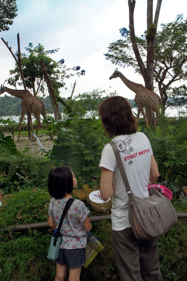 この日は日中シンガポール動物園、夜はナイト・サファリへ。