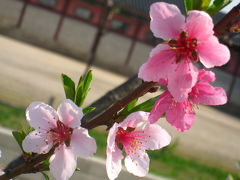 ゴーゴーソウル！(2日目)