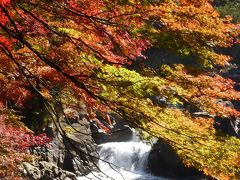 近江路紅葉めぐり　ダイジェスト