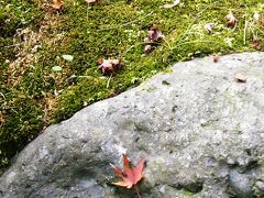 ぷらっと散歩～2010　京都　東福寺から花見小路へ～