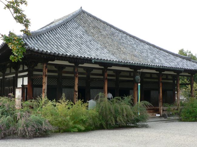 元興寺(がんごうじ)は、ならまちにある、南都七大寺の1つに数えられる寺院。蘇我馬子(そが の うまこ551−626年頃)が飛鳥に建立した、日本最古の本格的仏教寺院である現在の法興寺(飛鳥寺)がその前身だ。法興寺は平城京遷都に伴って飛鳥から新都へ移転し、元興寺となったが飛鳥の法興寺も元の場所に残り、飛鳥寺となっている。奈良時代には東大寺、興福寺と並ぶ大寺院であったが、中世以降衰退して現在は2つの寺院に分かれている。現在、「史跡元興寺」として指定されている地域は「元興寺極楽坊」、「元興寺(塔跡)」、「元興寺小塔院跡」の3か所で「元興寺極楽坊」には日本最古、飛鳥時代の瓦が極楽坊禅室・本堂に残っている。奈良時代の元興寺は三論宗と法相宗の道場として栄え、東大寺や興福寺と並ぶ大伽藍で寺域は南北440m、東西220m、「奈良町(ならまち)」の大部分が元は元興寺の境内であったそうだ。東大寺、興福寺が勢力を増す一方、元興寺は平安時代後半あたりから徐々に衰退している。室町時代の1451年、土一揆で元興寺は炎上し、金堂など主要堂宇は焼失、「極楽院」、五重塔を中心とする「元興寺観音堂」、「小塔院」の3つの寺院に分裂し極楽院は奈良西大寺の末寺となって民間信仰の寺院として栄えた。「元興寺観音堂」は東大寺の末寺となり、五重塔を中心とする寺院であったが、創建遺構の五重塔と観音堂は、江戸時代末期の1859年に焼失し、以後は衰退している。極楽院は1955年に「元興寺極楽坊」と改称、1977年に「元興寺」と改称され2010年8月、禅室の一部に使用されている木材が世界最古のものであることが確認されている。ならまちを歩くと元興寺の隆盛と衰退の歴史がよくわかる。(写真は日本最古、飛鳥時代の瓦が残る極楽坊禅室・本堂)