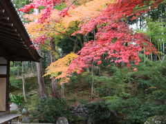 京都の紅葉2010年③　真如堂の紅葉と秋の特別公開くろ谷金戒光明寺と栄摂院の紅葉