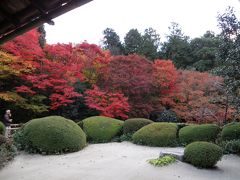 2010.11.23　叡山電鉄沿いを行く　京都の紅葉