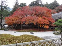 雷山千如寺の紅葉