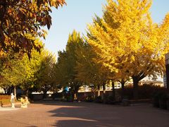韓国の美を見つけに～５日目＆最終日・再び紅葉のソウルへ～