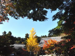 2010　紅葉を追いかけて（6）　東光寺