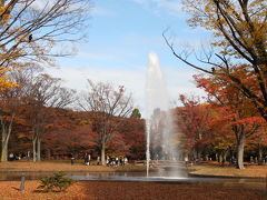 秋色の東京散歩：代々木公園あたり