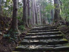 やっと叶った4年越しの旅行計画in熊野　いよいよ佳境、熊野古道を歩く