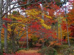 燃ゆる秋①～龍穏寺～2010