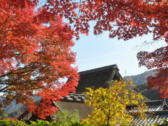 2010　紅葉を追いかけて（7）　永源寺