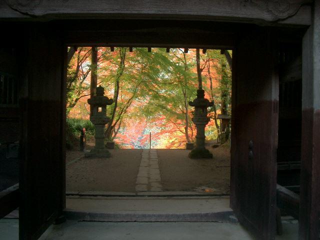 香嵐渓には何度も来ていますが、たぶん、香積寺にははじめて。おもしろい紅葉風景を楽しみました。