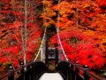 塩原温泉郷の紅葉めぐり。