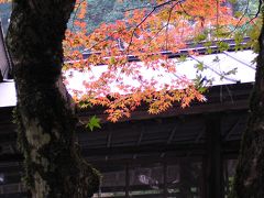 ☆紅葉・養父神社と☆農匠の郷やくの☆