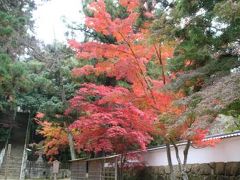 2010年播磨の紅葉①　加西市　法華山一乗寺