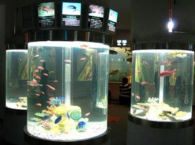 札幌にも水族館があるんです。<br />屋内展示のみで小規模ですが、アットホームな雰囲気で<br />「泳いでる生き物をぼーっと眺めたい」「とにかく癒されたい！」という気分の時には特におススメ。<br /><br />地下鉄・東西線の「新さっぽろ駅」の目の前で年中無休。<br /><br />料金は大人900円、子供400円ですが…<br />是非サンピアザ水族館のＨＰをチェックしてからドウゾ♪<br />10パーセントOFFになるWEB割引チケットがありますよ。<br />