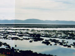 ペルー：チチカカ湖の旅