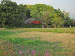 紅葉まえの嵯峨野散策