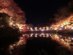 2010年紅葉（土岐市・穴弘法）