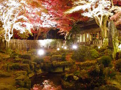 2010紅葉だより◆教林坊の紅葉ライトアップ（滋賀県近江八幡市安土町）