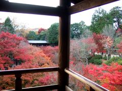 ２０１０年京都の紅葉　東福寺と妙心寺編
