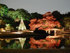 東京ぶらぶら　紅葉を求めて　日比谷公園、小石川後楽園、六義園