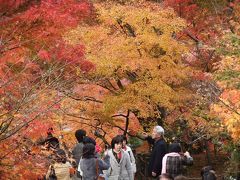 2010　秋　　三千院・永観堂・真如堂