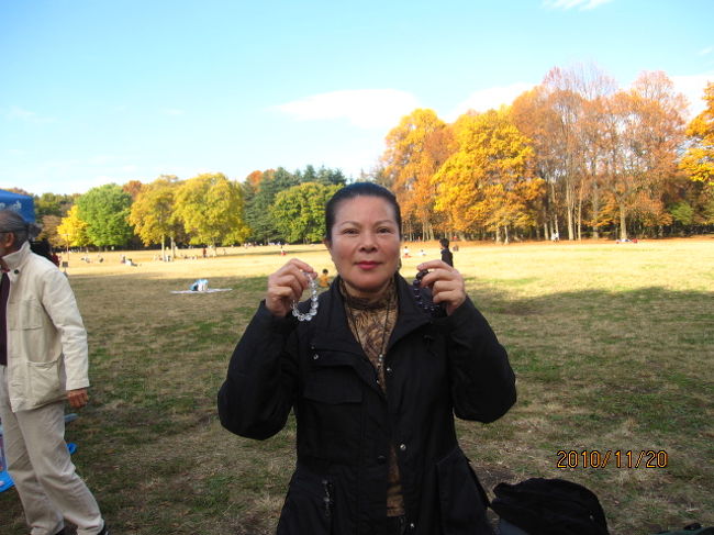 紅葉を眺めに小金井公園にやってきたが、この公園には楓、紅葉の類の樹木は少なく、桜の名所だけあって、どれも大柄の大木が赤く色ずんでいる。<br /><br />密生した桜の大木が赤銅色に焼けるのも又良い。これも又秋の風情。んあ<br /><br />広々した園内、芝生の上では大勢の家族が秋晴の下、寛いでいる。飢餓も戦争もない平和な日本。今日の日本を作り上げてくれた先人の努力に感謝する。<br /><br /><br />公園内のいつもの場所にフリマ、フリーマーケットが出ている。タイの夜市ほど賑やかではないが、タイを思い出し、覗いて見る。<br /><br />覗くと、チベットの民芸品を売っている店がある。顔立ちからしてチベット人のようにも見え、話しかける。聞くと、彼女はチベット人ではなく、台湾人とのこと。高砂族だ。日月譚のほうから来ているようだ。<br /><br />タイのカムライ。本当かどうか水晶の腕輪が１０００円とのこと。「自分はタイ人と同じ仏教徒だから、嘘は言わない。本物の水晶だ。」としきりに勧める。<br /><br />どうせ１０００円、今度タイ旅行する時の飾りになればよい、と１個買う。<br /><br />そうしたら、その隣に黒紫の腕輪があって、交換をお願いしたら、１５００円と言う。あと５００円払うのも損した気分になり、いっそのこと２個買おうと、「１０００円」と言い値を言ったところ、「ＯＫ」の返事。<br /><br />青空の下、タイのナイトマーケットのやり取りを思い出し、心地よい気分になった。<br /><br />５００円まけさせ、何か、戦勝気分にもなって早速両腕に腕輪を嵌めて、次の黄葉を見に行った。