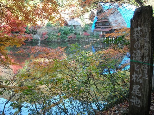 良く晴れた休日の朝。<br />岐阜市内から車で１５分ほどで行くことができる、隠れ家紅葉スポットを散策しました。<br />隠れ家、、と思いきや、松尾池はバードウオッチングの名所だとかで、、ずらりと並んだ車と三脚にびっくりしながらも、風情ある紅葉を楽しんできました。<br />雄日ヶ丘公園はファミリーにぴったりの公園で、沢山の子供たちが落ち葉を踏みしめながら遊んでいました。