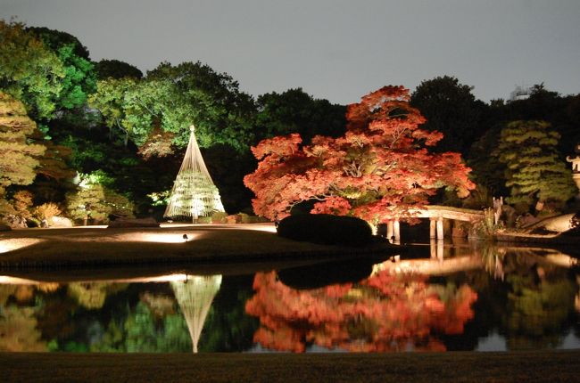 紅葉前線が東京にもやってきていくつかの公園・庭園を見に行く。<br /><br />ラジオで六義園の紅葉のライトアップが綺麗と聞いていたので、天気が悪くても綺麗だろうと思い行くことにする。 <br />その前に２箇所の公園も回った。 <br /><br />（１）日比谷公園 <br />カミさんが、２２日に行った時に松本桜の紅葉が見事だと言うので、先ず訪れた。 <br />松本楼の隣に大きな大きなイチョウの木が有り、紅葉はやや盛りを過ぎていた。他の木々もかなり紅葉が進んでおり、今週末までは楽しめそう。 <br />（２）小石川後楽園 <br />夏に行った時に、紅葉も綺麗そうと思った。調べてたら、紅葉もかなり行けそうと分かったので、日比谷から移動。果たして、期待以上の紅葉だった。天気が良ければもっと素晴らしい絵に成ったはず。紅葉は今を盛りに赤く、黄色に成っていた。ここは、ライトアップがやっていないので残念。 <br />（３）六義園 <br />いよいよメイン。後楽園とそっくりの造りの公園。後楽園は１６２９年以降水戸光圀が完成させた。六義園は、１７０２年、川越藩主柳沢吉保が作った。何れも、「回遊式築山泉水」で、大きな池を中心の大名庭園である。大きさもほぼ同じ。 <br />さて、ライトアップ。美しい。綺麗。幻想的・・・ <br />素晴らしいです。ただ、もみじなどまだ真っ赤には成っていなかった。これから、さらに綺麗になると思われる。今週末くらいが見ごろか。 <br />時間のある人には是非お勧めです。休日は大変な人かも。 <br /><br />