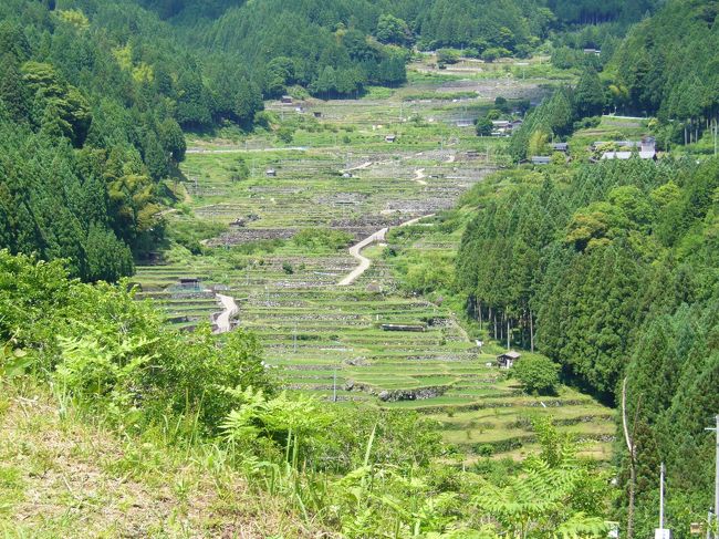 5月中に茶臼山の芝桜を見にいこうと思っていましたが<br />すごい混雑してるということやめてました。<br /><br />6月に入りもう芝桜祭りはやってないけど<br />リフトに乗りたいから行ってみる！<br /><br />ってことで行ってきました。<br /><br />帰りの途中で千枚田見て賀茂のしょうぶ園にも行きました。