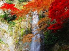 紅葉シーズンの箕面大滝