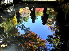 2010　紅葉を追いかけて（9）　百済寺