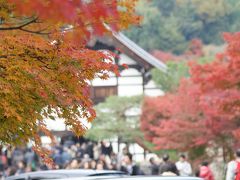 紅葉の京都 2010(嵯峨野トロッコチケット購入、天龍寺、大河内山荘編)