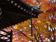 2010年　京都の紅葉